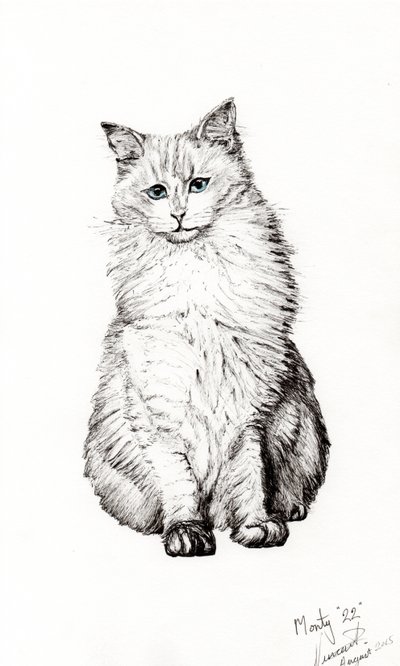 Niño, 2015 de Vincent Alexander Booth